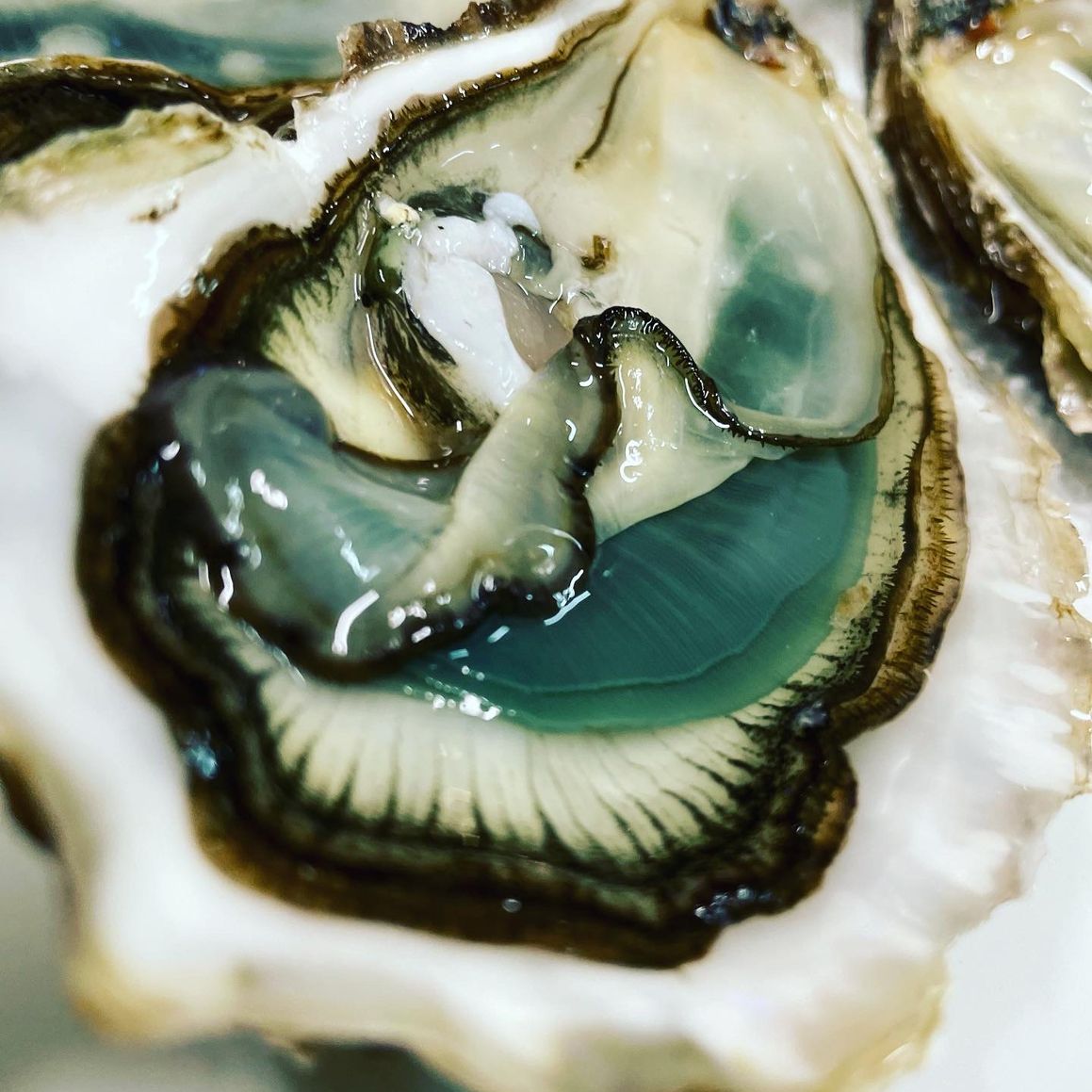 Huitres spéciales naturelles des 2Iles - Ile d'Oléron