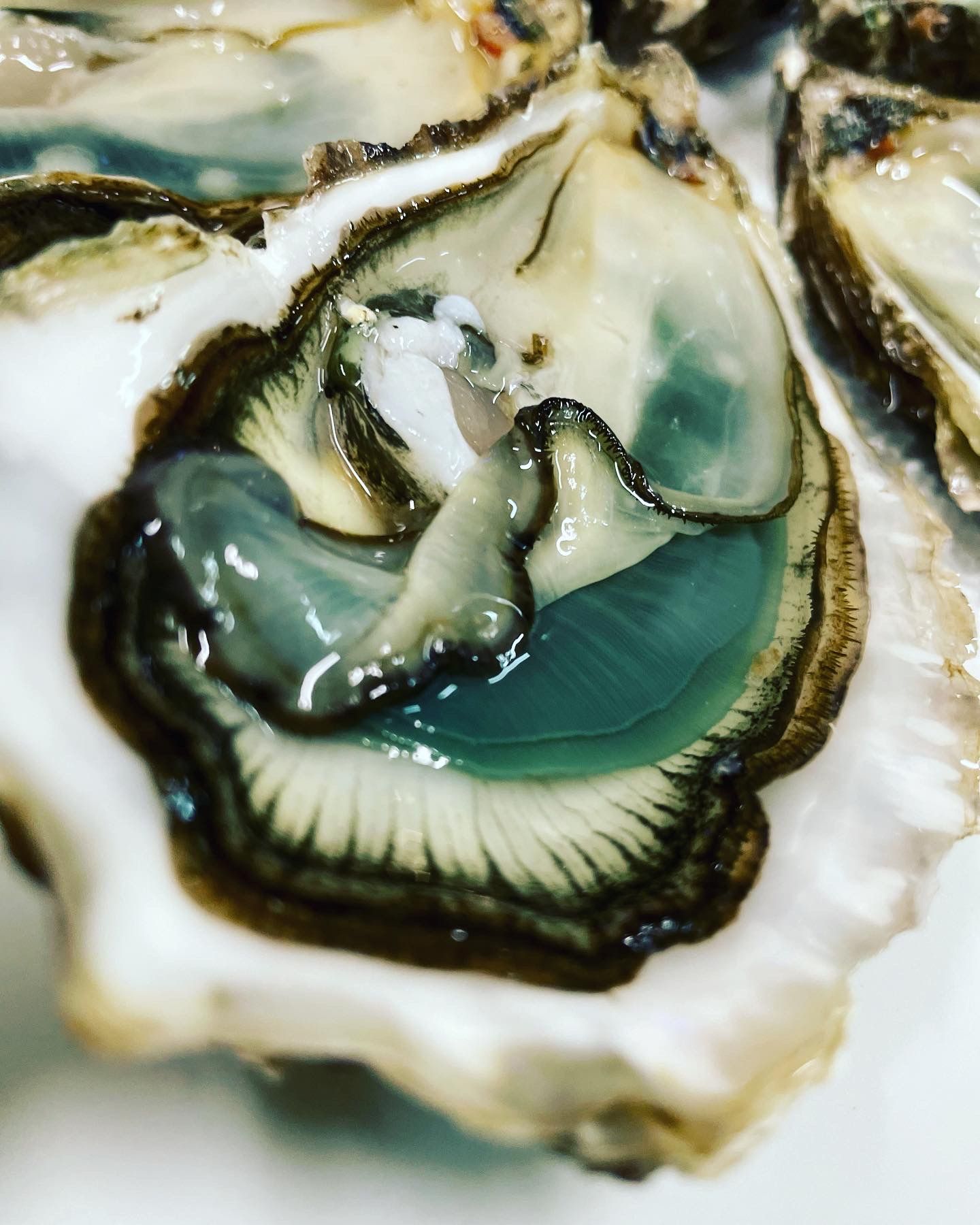 Huitres spéciales naturelles des 2Iles - Ile d'Oléron